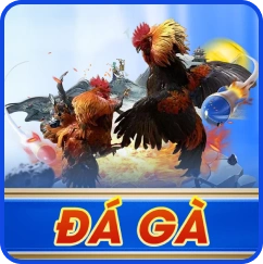 Đá gà 1x